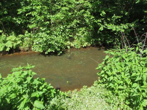 Lebensraumwüste "Bach" in grünem Idyll - da soll was besser werden.