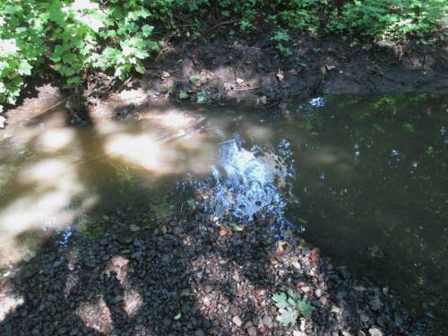 Schon optisch ist die Belebung des Niedrigwasserprofils zu erkennen - gelenkte, turbulente Strömung, wo vorher träge Bewegung vorlag.