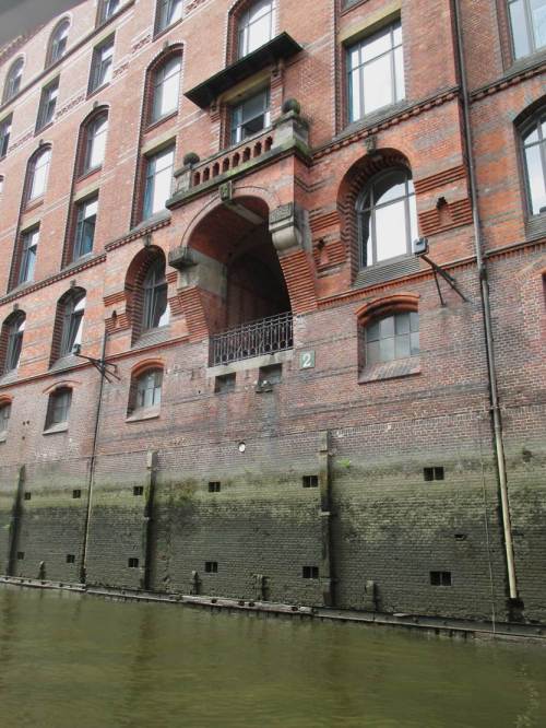 Wir durchqueren die Speicherstadt, sehen neben Altem auch aktuellen Bewuchs - interessanter Anblick für den früheren Periphyton-Forscher.
