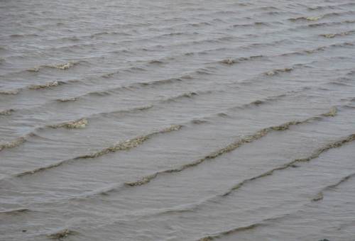 Badebucht Wedel, an der Wasserkante - hier Schlickwatt an der Ostkante - auflaufende Sportbootwellen.