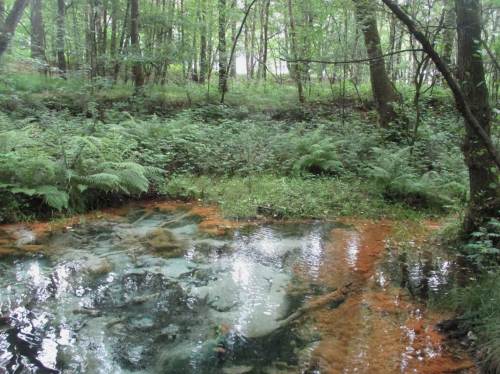 Es ist erstaunlich, was die Umsetzung sauerstofffreien, glasklaren Grundwassers beim Kontakt mit Sauerstoff und Umsetzung der gelösten Stoffe für Farben erzielt.