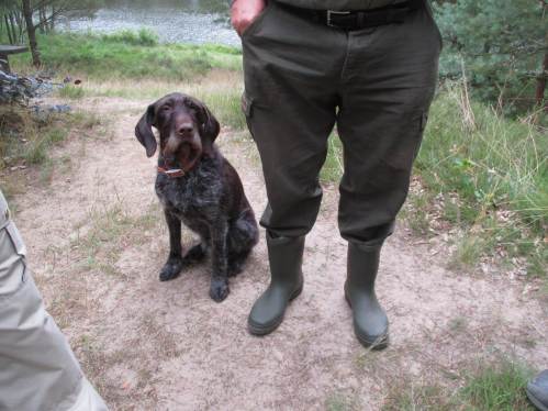 Wally, die Ortskennerin, hat alles aufmerksam beobachtet. Unsere Nachbarn freuen sich, dass sie die Aktion mitverfolgen konnten und werden teils ebenfalls von dem Angebot Gebrauch machen.