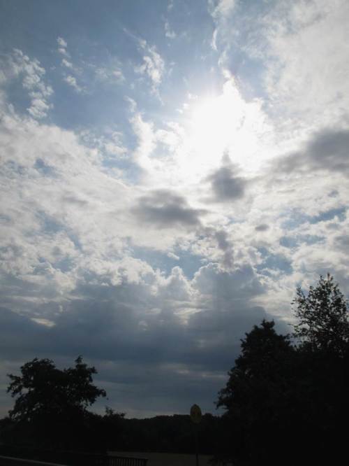 Da ist doch was im Gange? - An der Seeve angekommen sehe ich, dass es wohl eher ein anderes Bach-Einzugsgebiet betrifft.