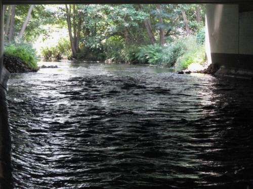 Tunnelblick - alter Mann ist kein D-Zug, sagt man ... - Erstmal im Schatten verschnaufen, dann geht`s bachab.