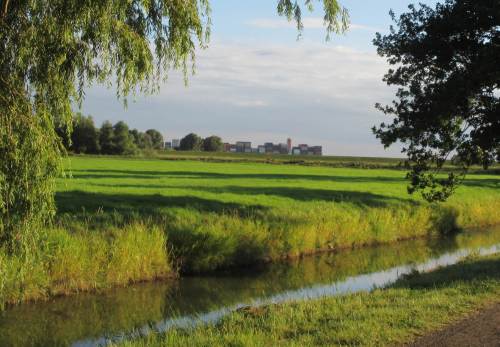 Gutes Wetter, mal wieder gen Fährmannssand an die Elbe ... - was bewegt sich da hinterm Deich?