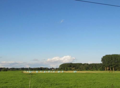 Wieder was gelernt - die Kaventzmänner haben dieses Jahr neue Farben.