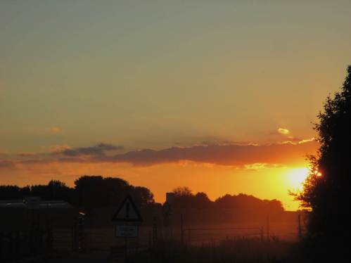 Jetzt steht die Sonne tiefer, mal sehen, ob etwas von den Staren zu sehen sein wird.