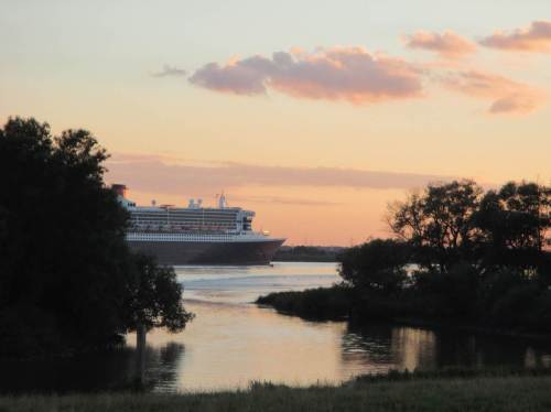 Noch einmal sehe ich die Queen Mary 2 - zwischen Auwaldresten (bitte mehr für die Auwälder tun!) den Auslauf der Wedeler Au vor deren Sperrwerk passierend.