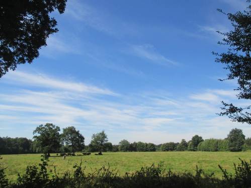 Das vorige Foto im Überblick: die Wiese ist leer ...