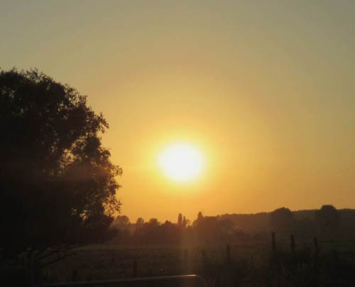 Nicht mehr lange bis Sonnenuntergang - vor der Batavia sitzen Mengen bei anregenden Getränken und schauen zu.