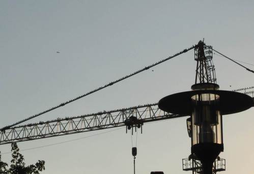 Ja, das Flugzeug ...