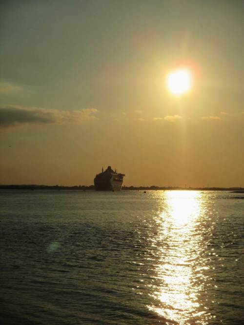 Für solch ein Vogel-Schauspiel lassen wir sogar die Queen Mary 2 ohne uns den Schulauer Hafen passieren - gucken halt hinterher.