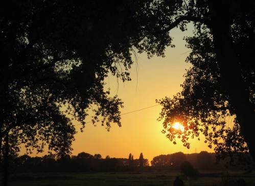 Abendsonne über der Wedeler Marsch - dann man "Gute Nacht".