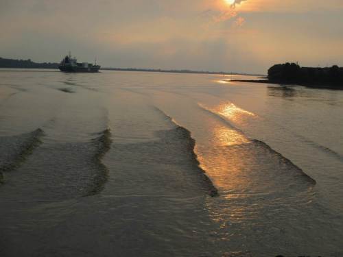Windstille, ruhige Elbe - kleine Wellen durch vorbeifahrende Schiffe. Nett anzusehen.