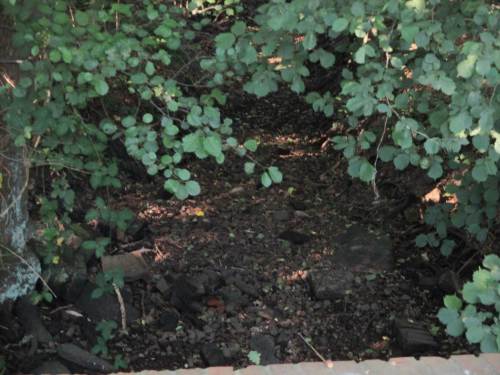 Schliesslich sind die umgebenden Bachoberläufe durch verschienderlei Ursachen seit Monaten trocken!