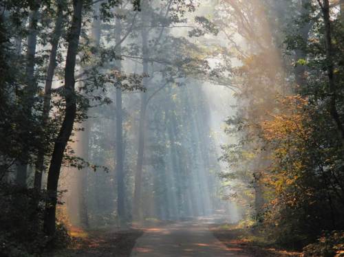 Igitt, die Idylle trügt! Es stinkt bestialisch, schräg links von mir lodern bis halbe Baumhöhe rote Flammen.