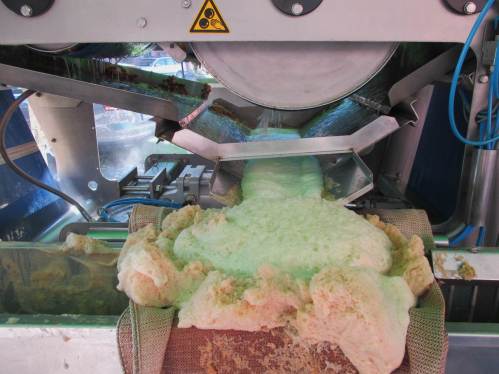 Saft und Schaum - je nach Apfelsorte leicht rötlich oder grünlich - laufen auf ein Filtergewebe, das Grobstoffe zurückhält.