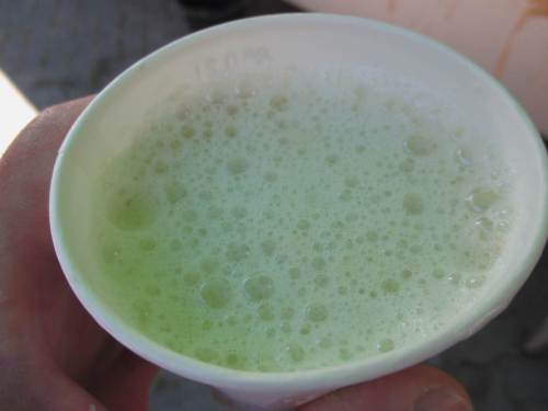 Ich darf eine Probe der grünlichen Variante testen - hmmmhhh, lecker, eine Wohltat bei der heutigen Hitze!