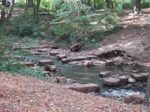 Steinreiches Ufer und gutes Gefälle lassen Eigendynamik innerhalb des Bauwerks erkennen.