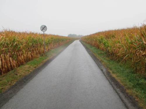 So liebt es der Deutsche (?) "Freie Fahrt!" - Was wir allerdings mit unserem Steuergeld an Landschaftsverschandelung und Naturzerstörung produzieren, geht auf keine Kuhhaut.