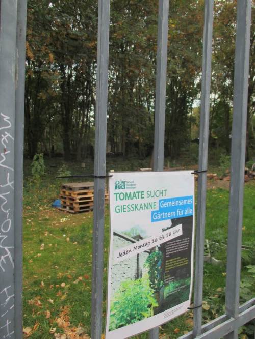 Zwischendrin gute Beispiele für städtische Umweltbildung für die junge Generation.