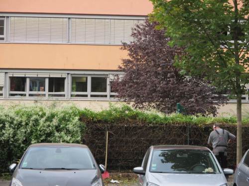 Leider auch 08/15-Gärtnern, wie z.B. zwanghaftes herbstliches Vernichten letzter großflächiger Insektennahrung.