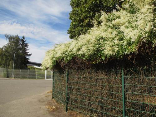 Es geht auch anders - Nahrung bleibt.
