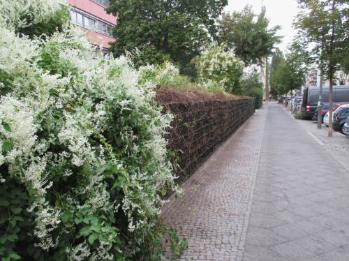 Dann hoffen wir mal für den erstgezeigten Standort ...