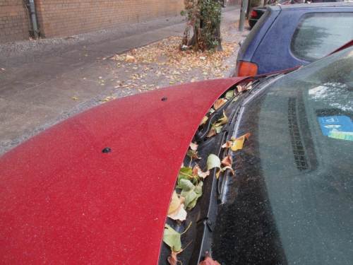 Untrügliches Zeichen, es herbstet - wir rüsten zur Rückfahrt.