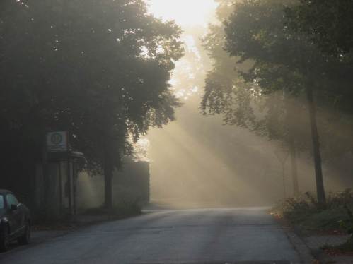 Morgennebel - nichts Ungewöhnliches Anfang Oktober.