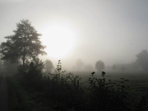 Im Ländlichen - wann wird der Bach hier wohl wieder fliessen? Seit Anfang Mai liegt er nun schon trocken.
