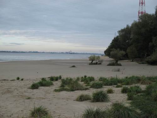 Wie überall an der seeschifftiefen Elbe muss auch hier aufgrund veränderten Tidegeschehens und Wellenschlags erheblicher Sandverlust am Ufer festgestellt werden.
