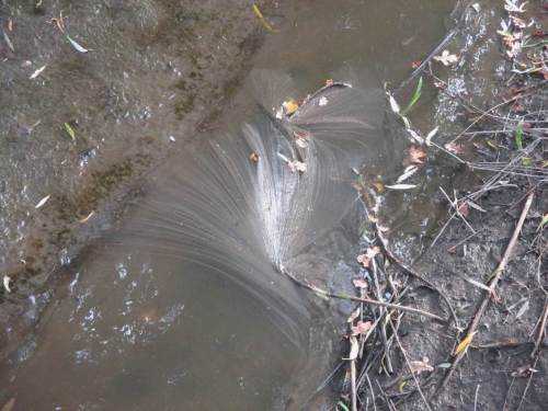 Hier vielleicht nicht mehr so eindrucksvoll, aber erläuterungsfähig.