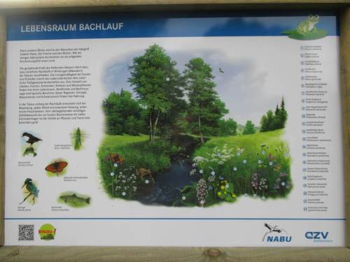 Tafel zu Bachläufen - mein Thema. Selbstverständlich werden alle aquatischen Lebensräume abgehandelt wie Tümpel, Weiher bis hin zu Moor und Feuchtwiese.