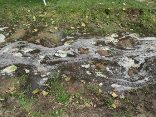 Interessante Fliessmuster in überschwemmter Talaue.