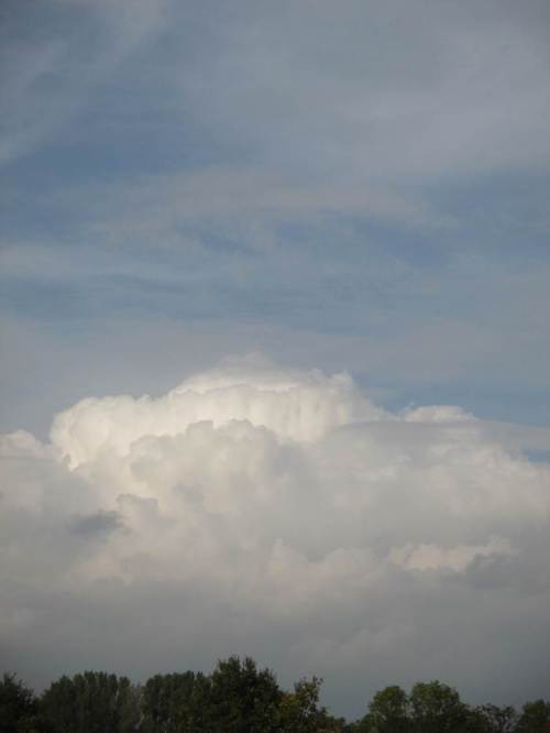 Erinnerung an blauen Himmel - nachts soll es regnen (angesichts anhaltender Trockenheit ohne größere Niederschläge seit April brauchen wir das Wasser !).
