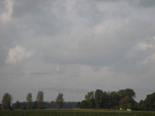 Was wird das - der Horizont zwischen Hauptdeich und Geestrand ist schwarz.