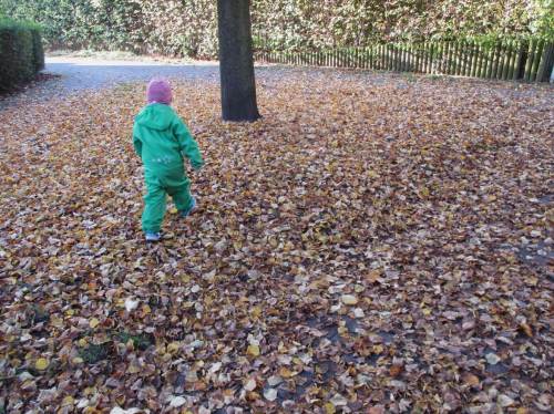 Hurra, neue Herbsterlebnisse! Schnell durchrascheln, bevor die Pracht im Kompost landet.