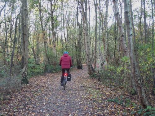 Für den Start der Tour haben wir uns ein kleines Waldstück ausgesucht - ja, gelegentlich gibt es im waldärmsten Bundesland S-H, gar auf der Halbinsel Eiderstedt, auch Wald.