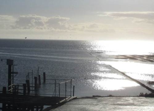 Zwar klitzeklein auf dem Foto, in seiner Wirkung aber um so beeindruckender: ein Seeadler startet einen Flug entlang der Wasserlinie. Mal sehen, was die anderen Vögel dazu meinen.
