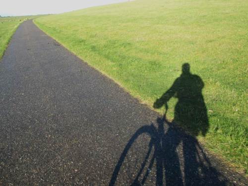 Wir radeln zurück, begleitet vom Schimpfen der aufgeregten Vogelschar.
