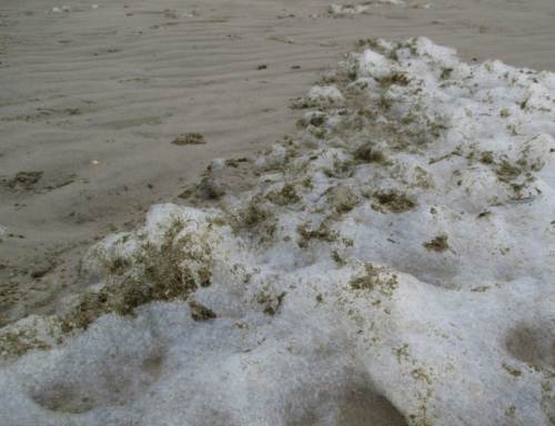 Schaumschlägerei - wie gut, dass dies nur noch punktuell auffällt und nicht mehr wie in den 1980ern Meterhöhe und bis Kilometerlänge einnimmt.