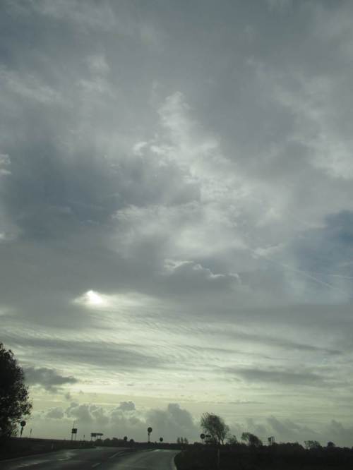 Und so guckt man aus Welt heraus.