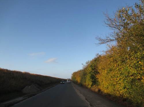 Windschatten hat auch was! Am Deich entlang, gleich geht`s über den Deich Richtung Strand Ording Nord.