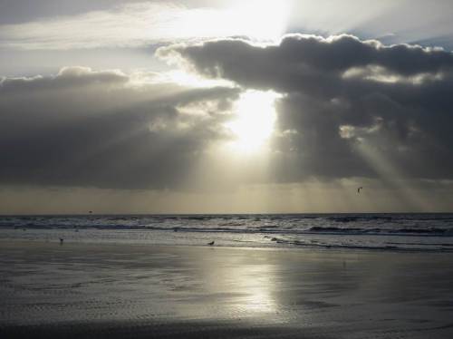 Zum Ausklang des Tages - nach Mittagessen, Ruhe und Kaffee gehen wir noch an den Strand vor Ording.