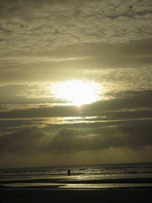 Und schon ist es Zeit für die Hamburger Besucher, zurück zu fahren.