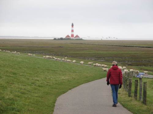 Nun heisst es, einen langen Fußweg zurückzulegen.