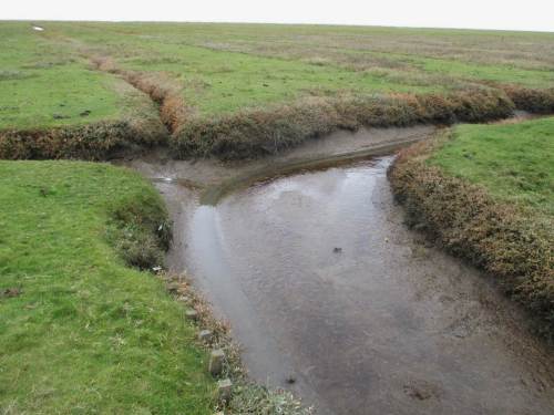 Was immer man möchte - bei Ebbe kann man in den Entwässerungsgräben Biologie und / oder Hydraulik erforschen - oder es auch lassen.