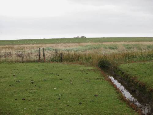 Blick Richtung Deich - 3 Nutzungsbeispiele: wie Golfrasen abgegrast - raue, unbeweidete Fläche - Schaf-gepflegter Deich für den Sturmflutschutz.
