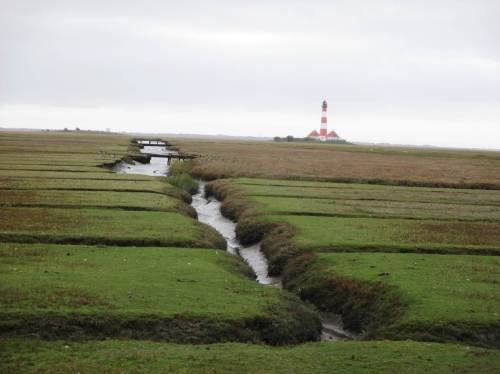 Da man den Leuchtturm nur bei 1stündigen Führungen betreten kann, machen wir uns auf den Rückweg. Die Marsch- und Wattlandschaft sehen wir nächstes Frühjahr wieder.